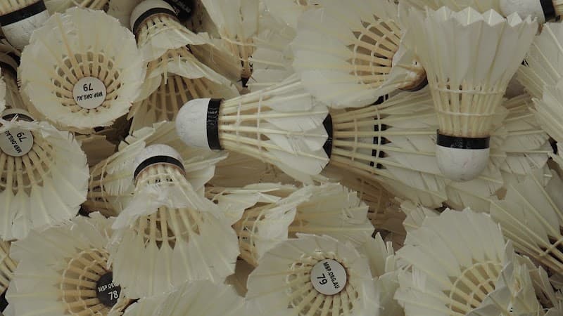 Photo of Mornington Peninsula Badminton Inc. padel courts